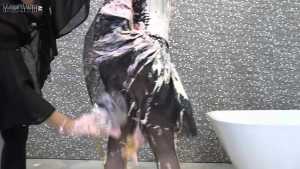 cassie-tied-and-pied_12.jpg